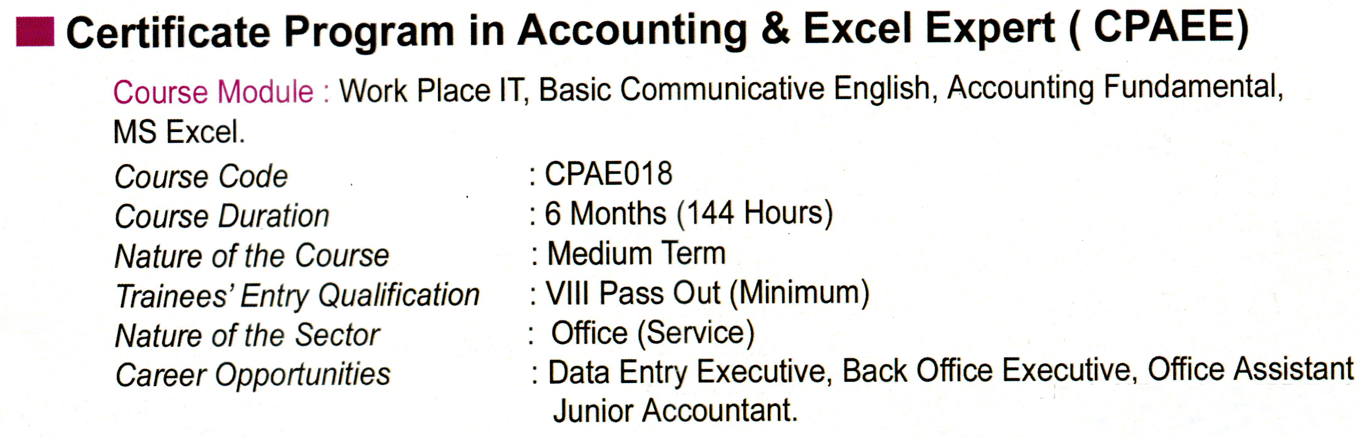 Certificate Program in Accounting & Excel Expert (CPAEE)