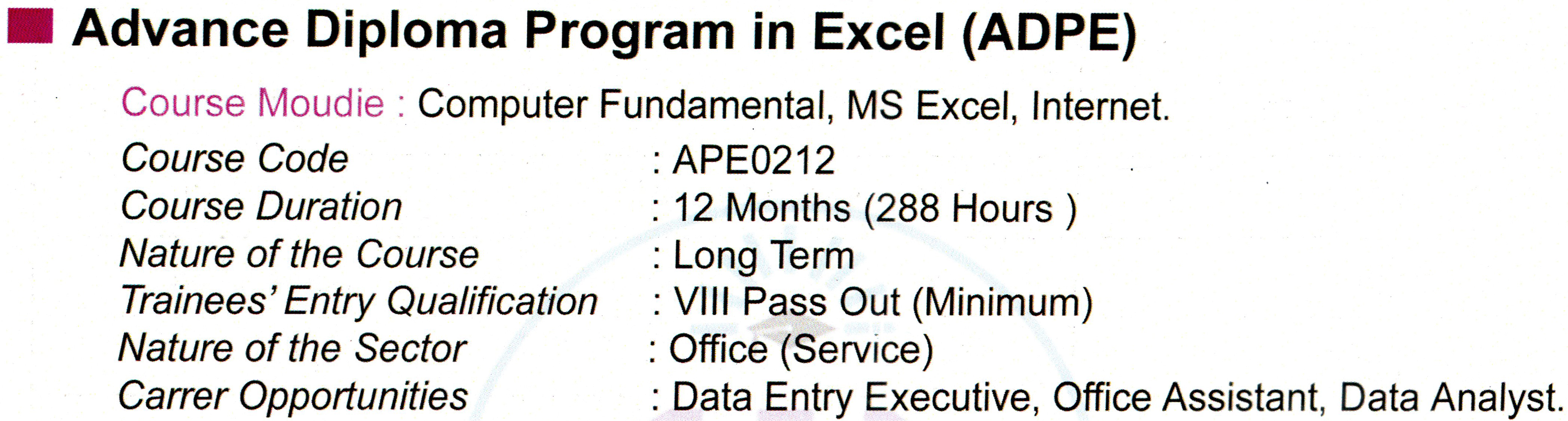 Advance Diploma Program in Excel (ADPE)